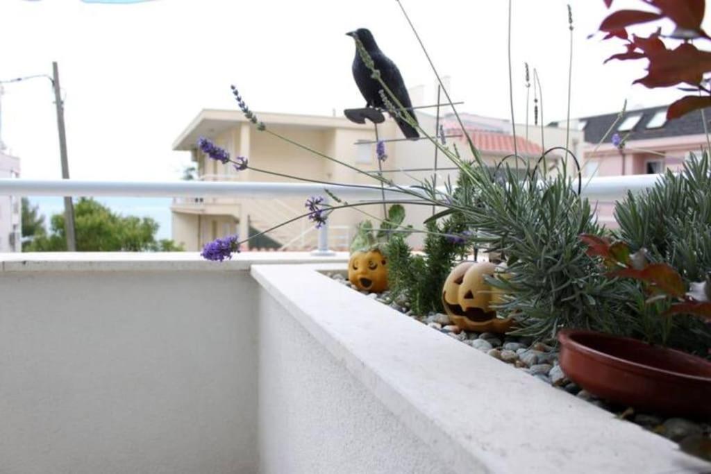Maia'S Beach Studio Znjan Split Exterior foto